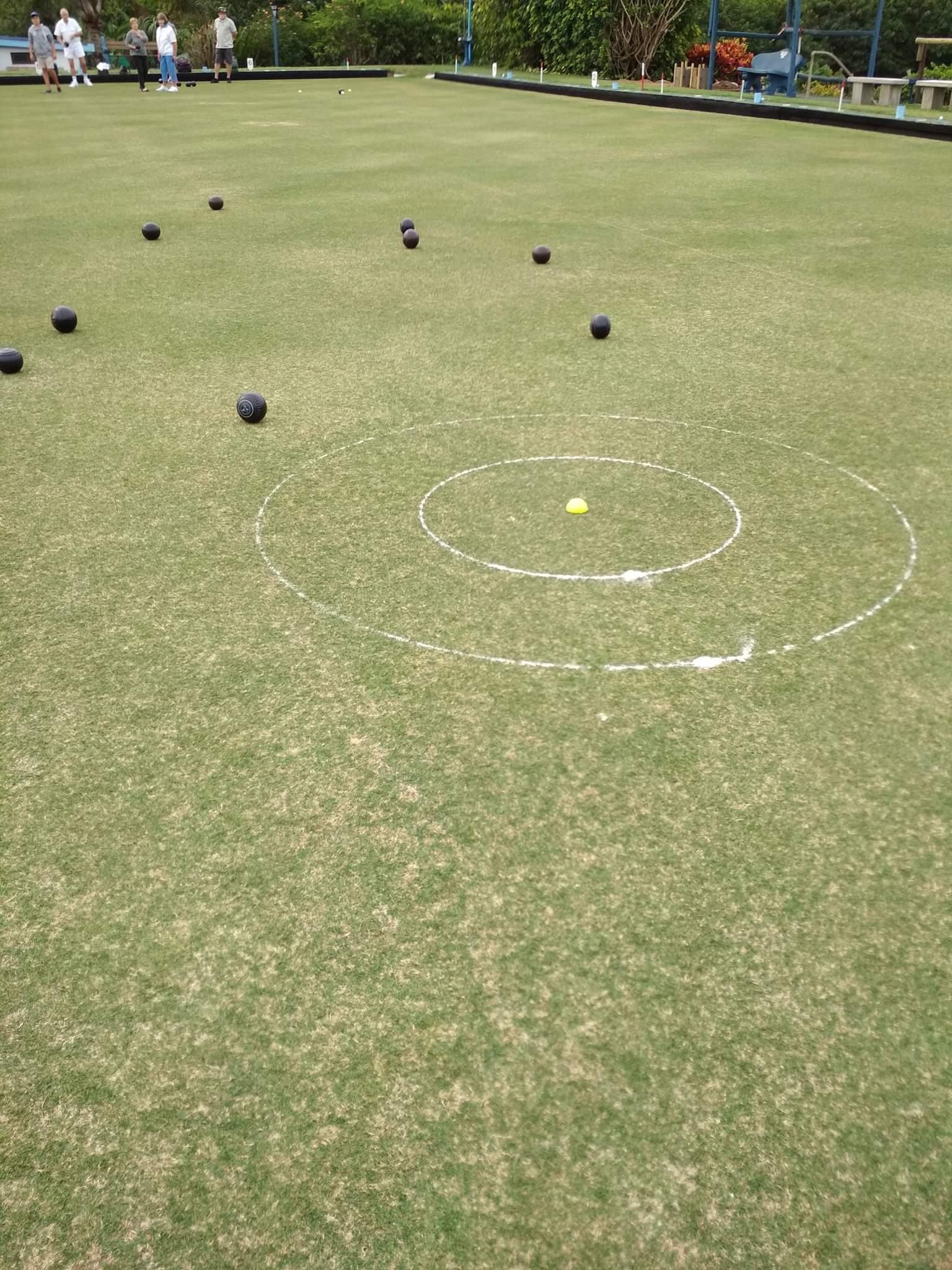 42514404_1011164955751824_5430831733127774208_n